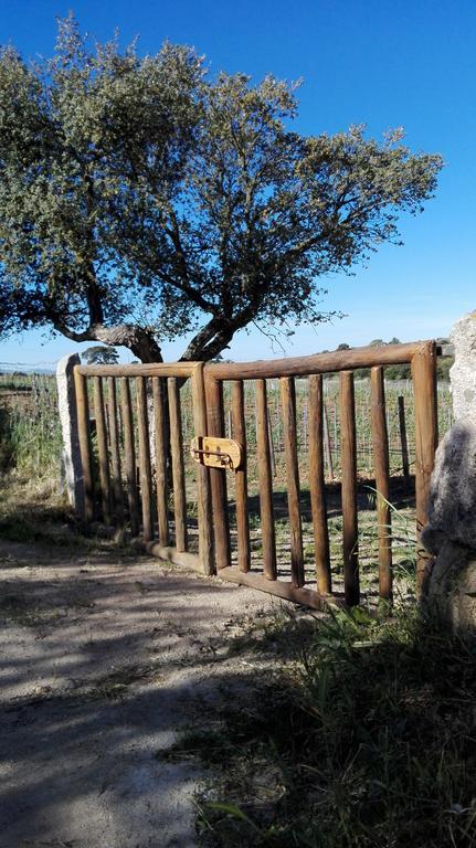 Agriturismo B&B Domo De Resteblas Berchidda Exterior foto